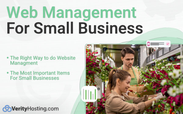 Web Managment for Small Businesses